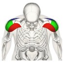 몬스터 짐 이미지