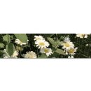 의료법인 상봉의료재단 이미지