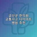 금산한의원 | 금산군 한의원 교통사고 다이어트 체중관리 추나 난청이명 5곳비용 후기 추천하는곳