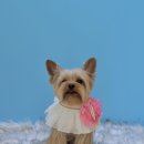 견생 이발소 이미지