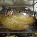 동래구청 이미지