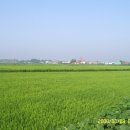 이라이스농장 이미지