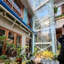 물꽁오리 이미지