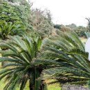 용수절부암 이미지