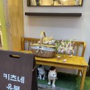 대전시청 둔산동맛집 &#39;키츠네유부&#39; 프리미엄 뚱유부초밥 거의 전메뉴 먹방 후기