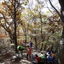 맥도향 | 양주 고령산 앵무봉 마장 흔들다리20181021