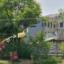 미미어린이집 이미지