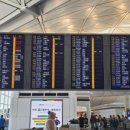 430 | 연차 없이 다녀온 홍콩 국제공항 당일치기 대구출발편 후기 3편 - CX430 지연 후기