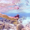 올림픽수영장 이미지