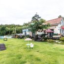 프렌즈 애견 이미지