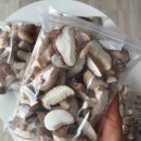 송화 농장 | 임신 중에도 안심하고 챙기는 건강 식재료, 더힐링팜 송화버섯