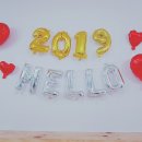 러블리독 애견카페 이미지