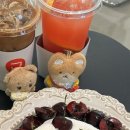 카몽 이미지