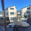 행복커피카페 이미지