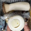 우리는 치즈 새송이 후기