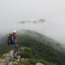 용강수정 이미지