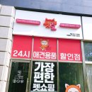 대박애견용품점