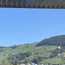 거빈식당 | 스위스 자유여행🇨🇭 | 버블프렌즈 유럽후기 | 인터라켄, 융프라우, 스위스패러글라이딩, 튠호수, 스위스...