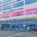 야옹아멍멍해봐강아지고양이충남