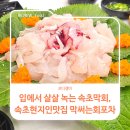 4719 | 입에서 살살 녹는 속초막회, 속초현지인맛집 막써는회포차
