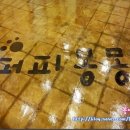 퍼피몽몽 네이버블로그