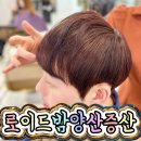 로이드밤 양산증산점