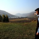 나의살던고향은 이미지