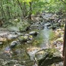 구천동 어사길 | 걷기좋고 좋은기운으로 힐링되는 전북천리길 무주구천동어사길 3구간 치유길