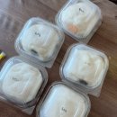 부산 동래 빵지순례 모몽비 비건베이커리 두콩크림빵 5종 후기