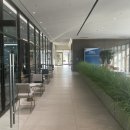 햄트리 | 더블트리 힐튼 판교 조식 수영장 이용 후기