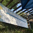 정관 돌고래광장 | 부산 정관 물놀이 명소! 아이랑 돌고래광장 분수대 체험 후기 [2025 운영시간 정보]