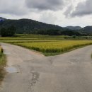 농소운동장 이미지