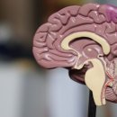 한국유통(통일로점) | 나우푸드 비타민 아이허브에서 할인받아 구매하기