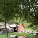 제이몽애견펜션 이미지