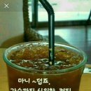 갈매기나라 이미지