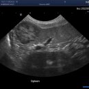 철원동물병원 이미지