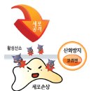 본약국 | [공지] 청소년 여드름 영양제 다 먹어본 후기｜약국 내돈내산 솔직 정리