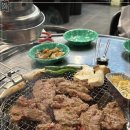 포차갈매기