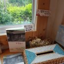 산촌민박 이미지