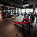 펠리스짐 이미지