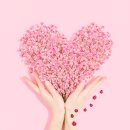 오늘의기분 이미지