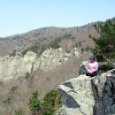 사자봉민박 이미지