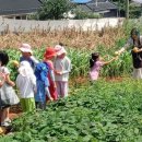 연계콩마을 이미지