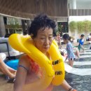 드보라여행사