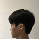 헤어제안