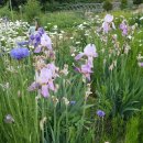 맷돌농장 이미지