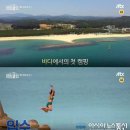 구산솔밭 이미지