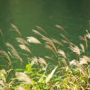 강변산소 이미지