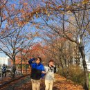 구로-고척-구로-477 | The last 발걸음 : 서울 둘레길 6코스