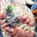 해신횟집 | 미사역 횟집 해신 내돈내산 도다리 광어 포장 후기